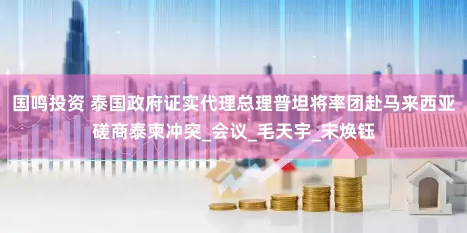 国鸣投资 泰国政府证实代理总理普坦将率团赴马来西亚磋商泰柬冲突_会议_毛天宇_宋焕钰