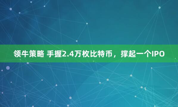 领牛策略 手握2.4万枚比特币，撑起一个IPO