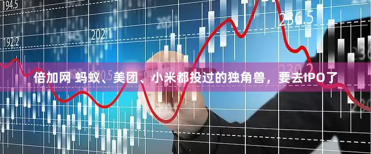 倍加网 蚂蚁、美团、小米都投过的独角兽，要去IPO了