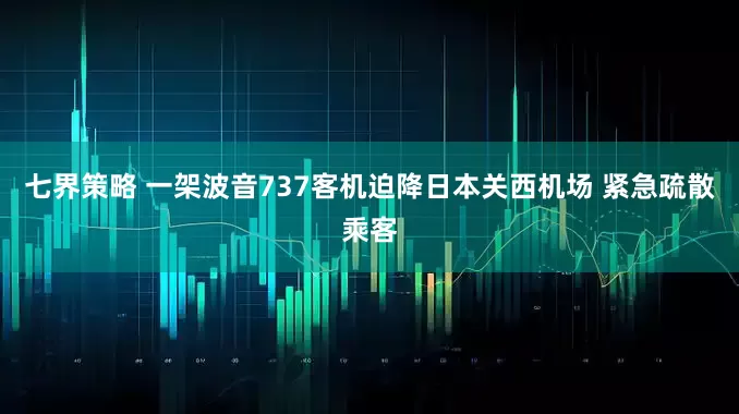 七界策略 一架波音737客机迫降日本关西机场 紧急疏散乘客
