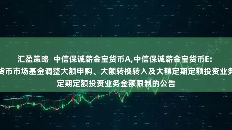 汇盈策略  中信保诚薪金宝货币A,中信保诚薪金宝货币E: 中信保诚薪金宝货币市场基金调整大额申购、大额转换转入及大额定期定额投资业务金额限制的公告
